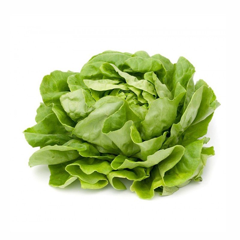 Organic Green Bell Pepper
