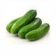 Native Organic Cucumber